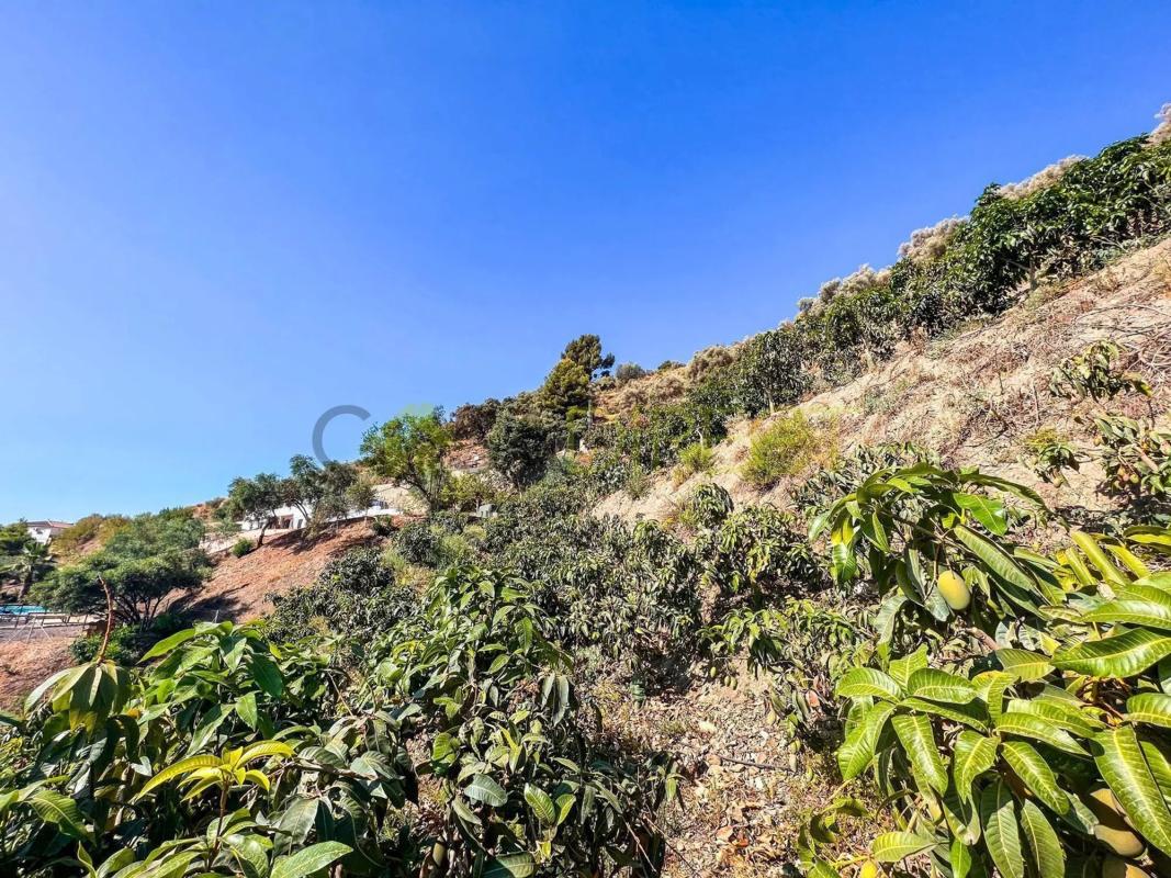 Land for sale in Torrox, Malaga photo 4