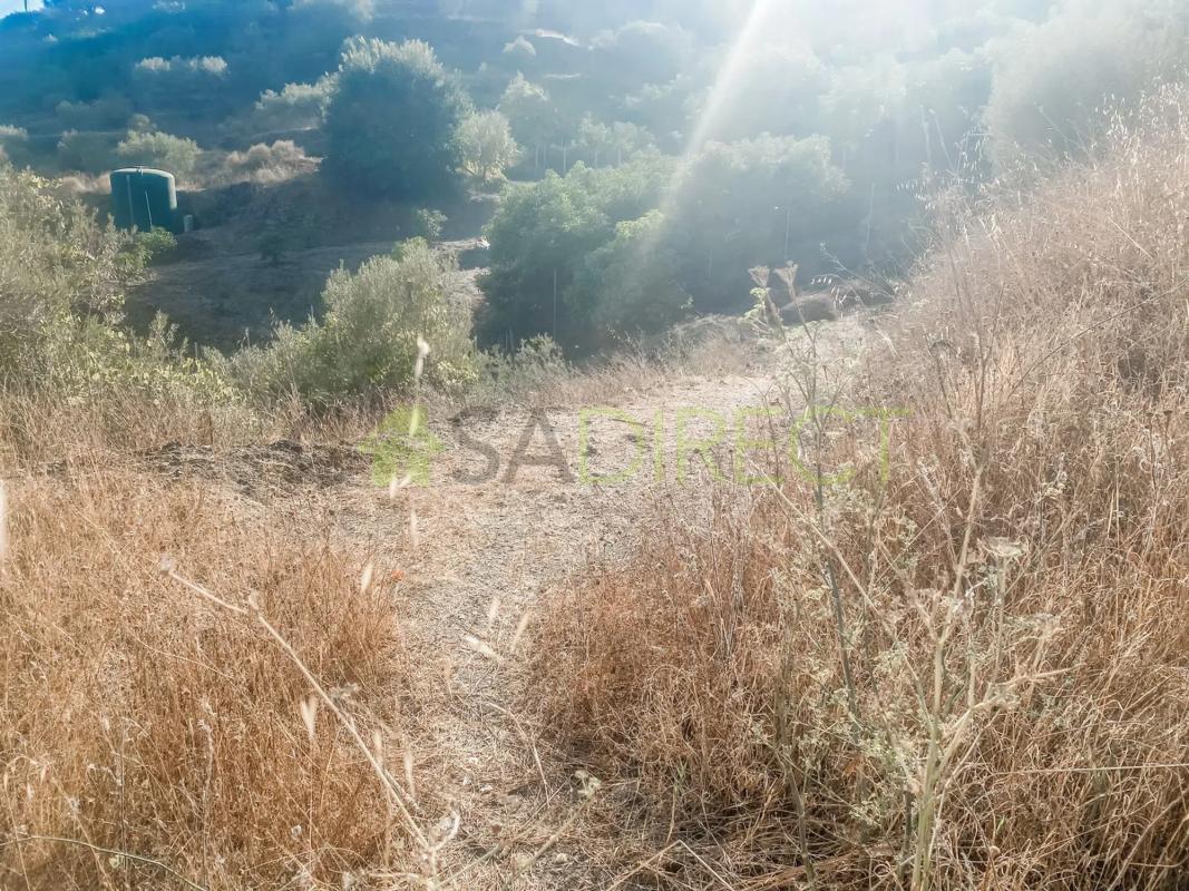 Land for sale in Torrox, Malaga photo 4