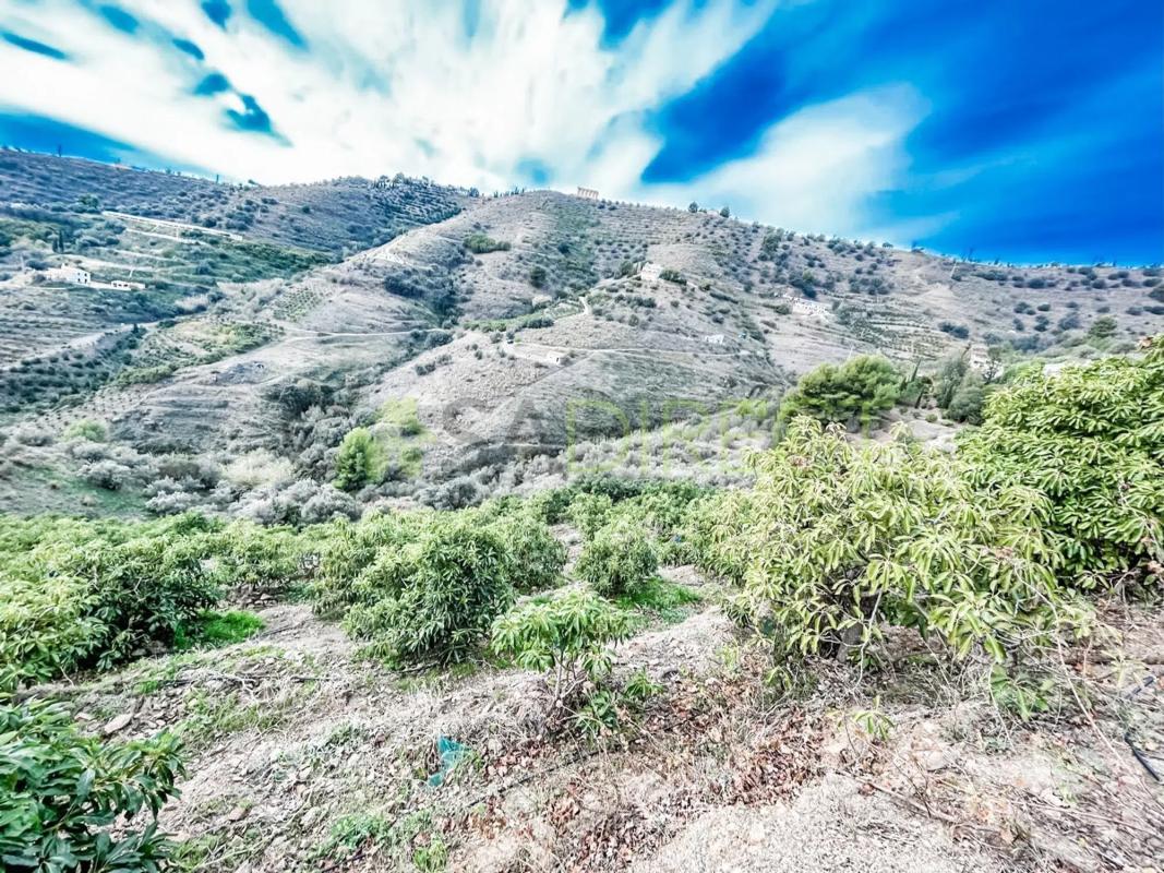 Terreno en venta en Torrox, Malaga photo 1