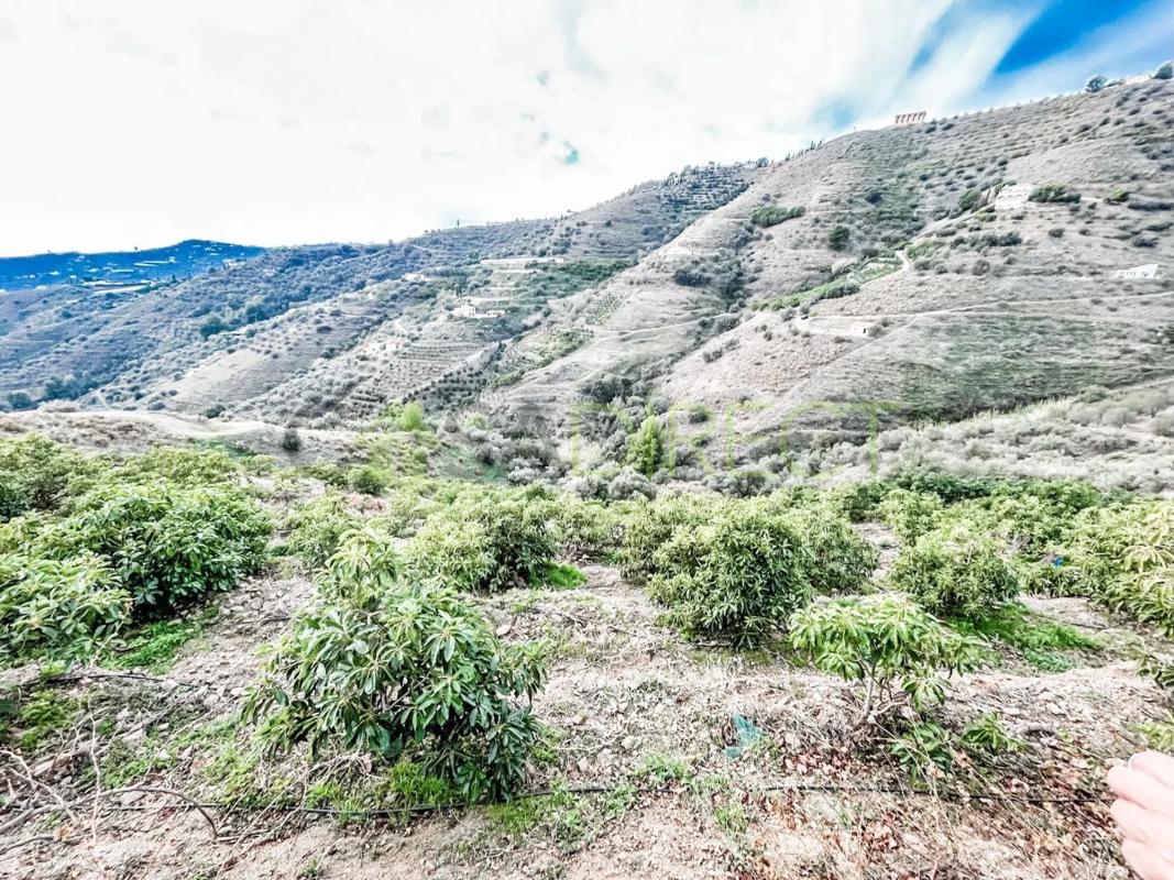 Terreno en venta en Torrox, Malaga photo 2