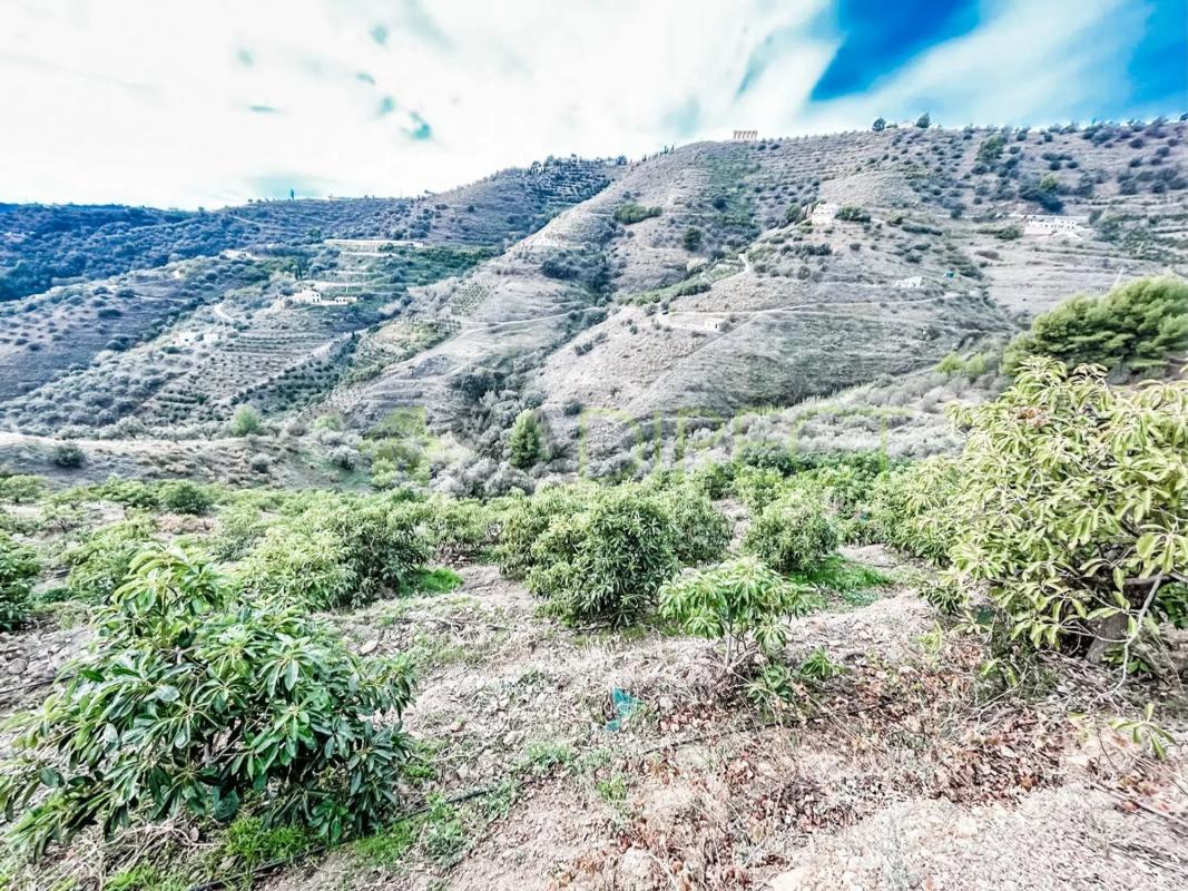 Terreno en venta en Torrox, Malaga photo 4