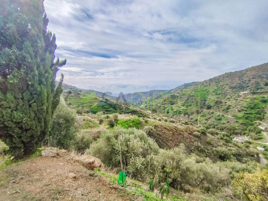 Land for sale in Torrox, Malaga photo 5
