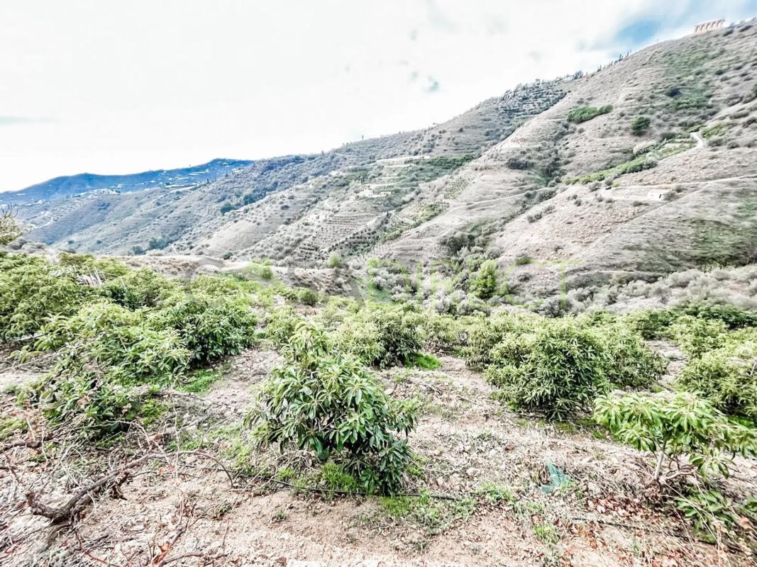 Terreno en venta en Torrox, Malaga photo 5