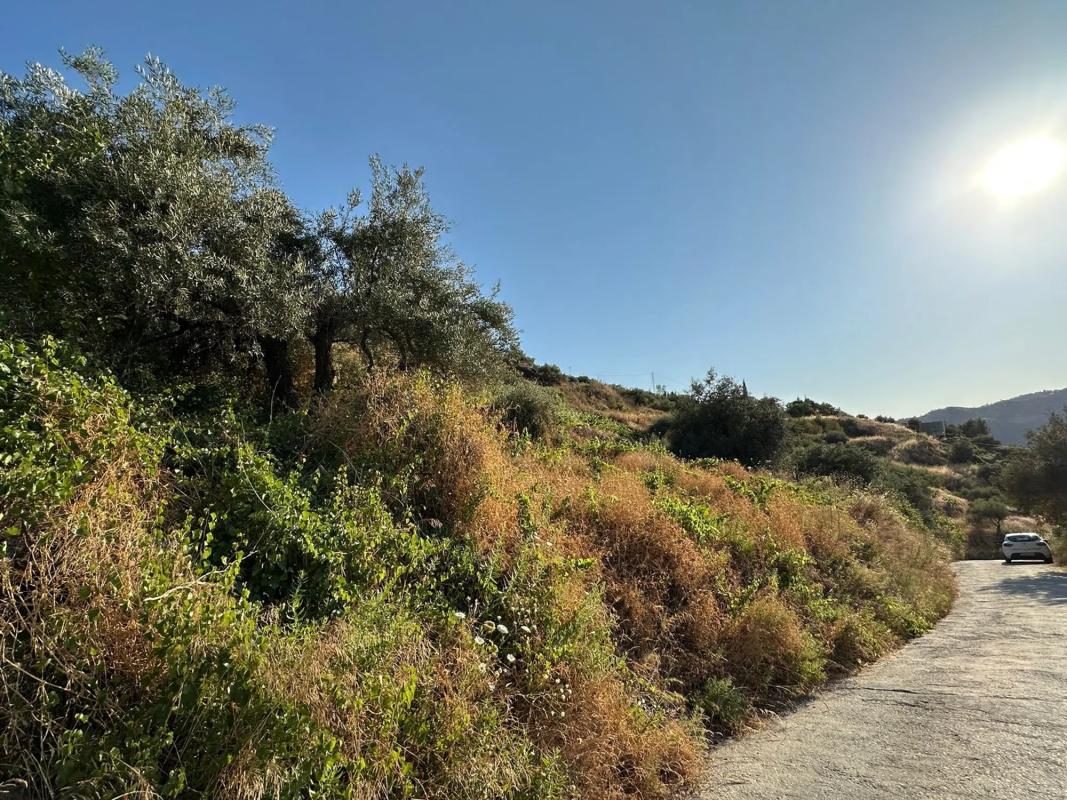 Terreno en venta en Torrox, Malaga photo 1