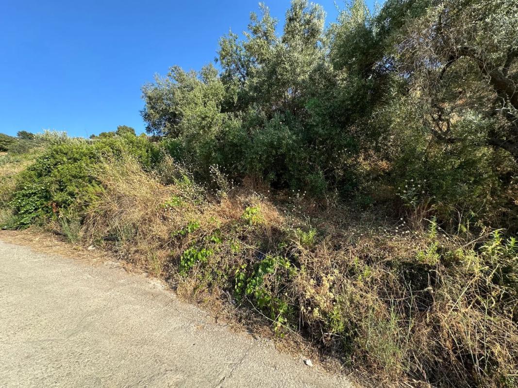 Terreno en venta en Torrox, Malaga photo 2