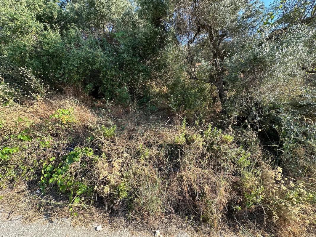 Terreno en venta en Torrox, Malaga photo 4