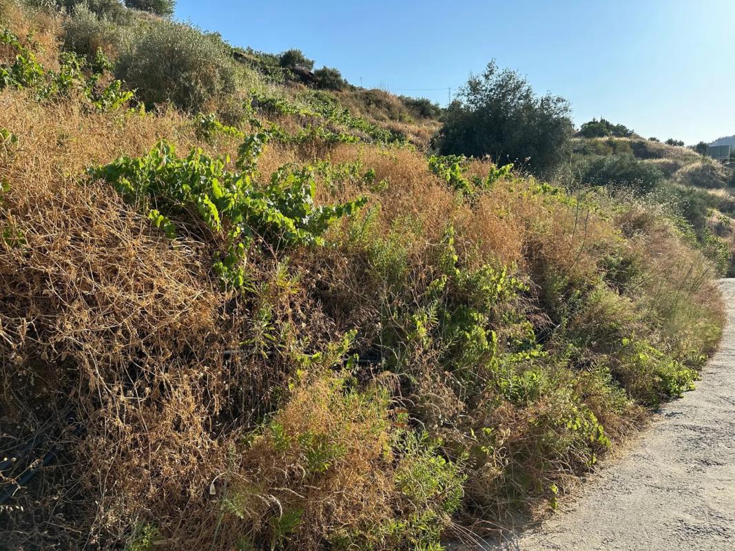 Terreno en venta en Torrox, Malaga photo 5