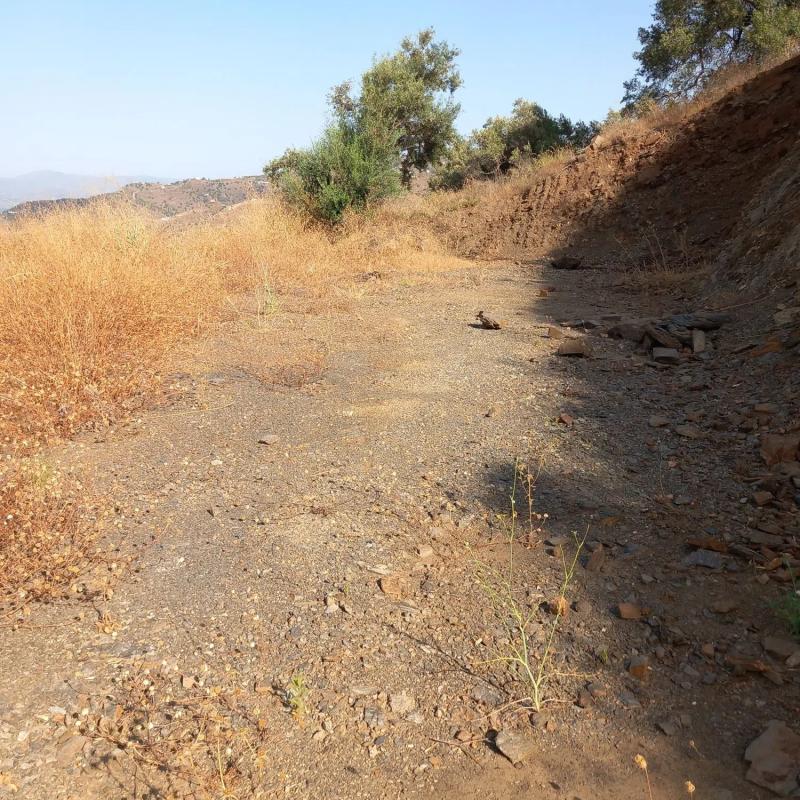 Terreno en venta en Torrox, Malaga photo 5