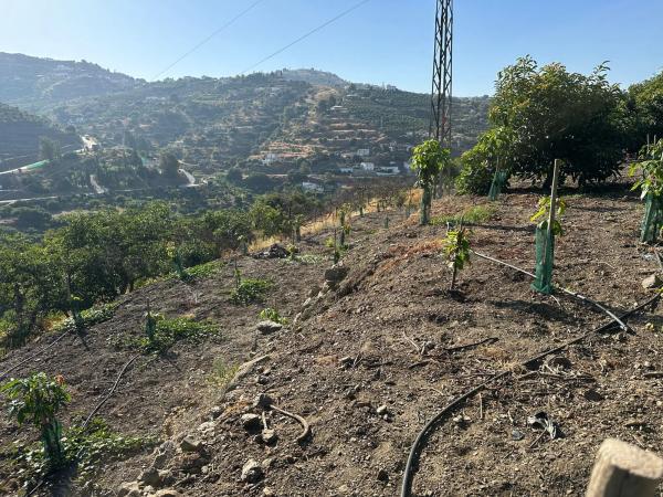 Terreno en Diseminado Pago Alcahuete photo 1