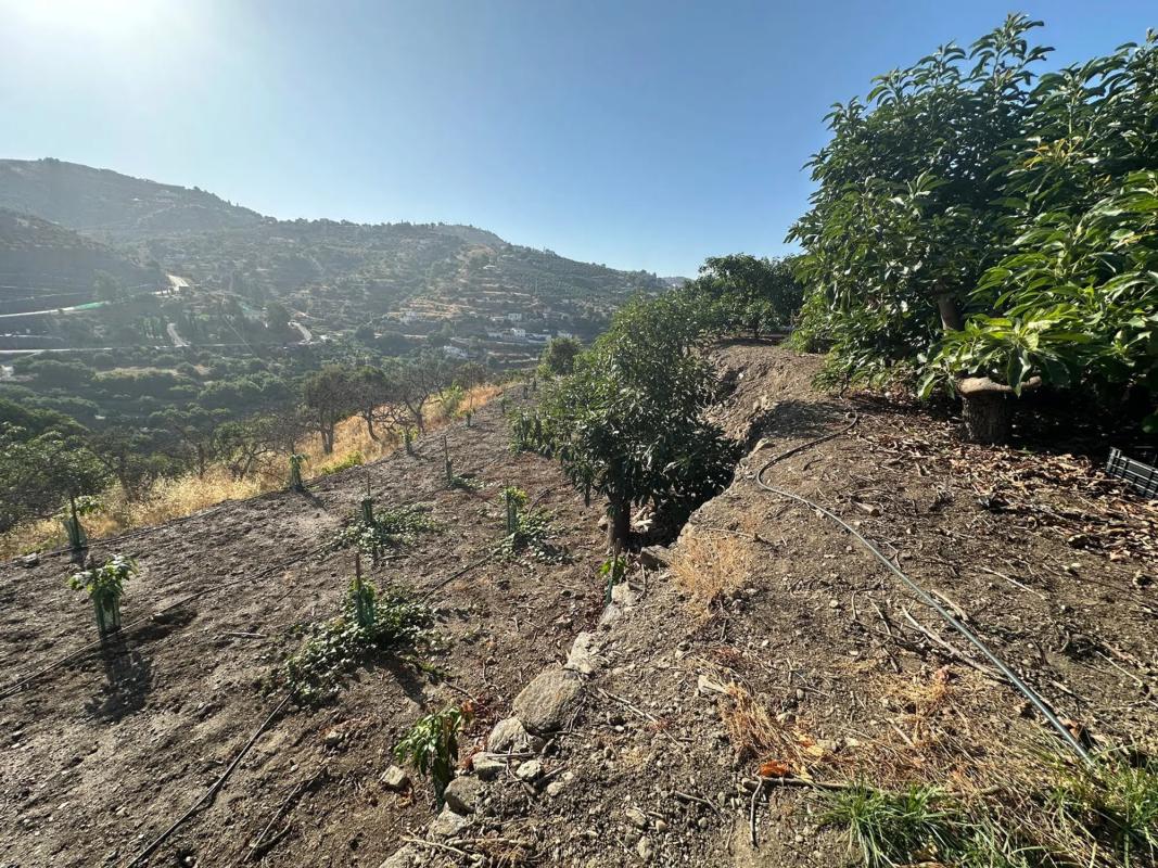 Terreno en venta en Torrox, Malaga photo 3