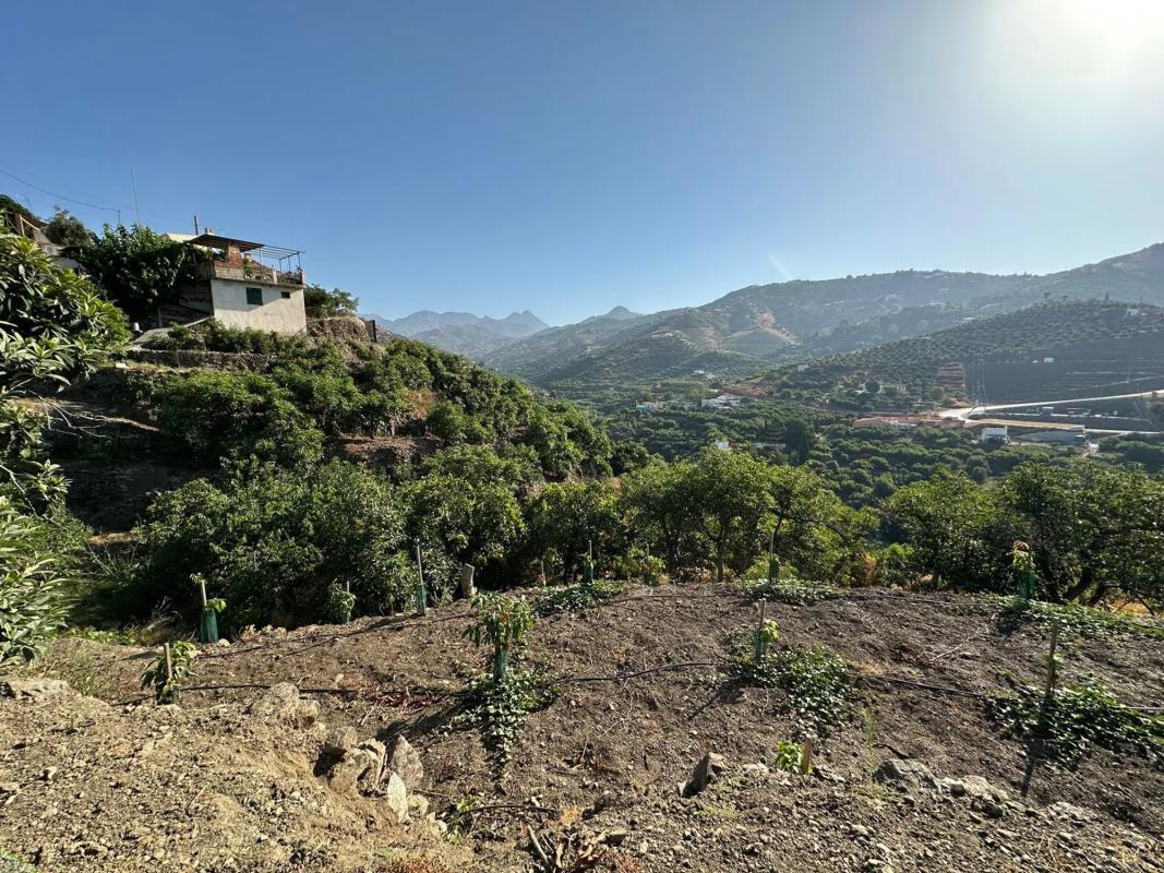 Terreno en venta en Torrox, Malaga photo 4
