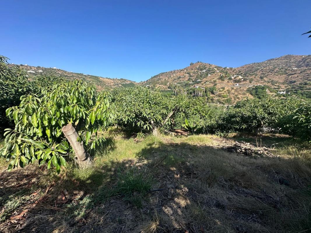 Terreno en venta en Torrox, Malaga photo 5