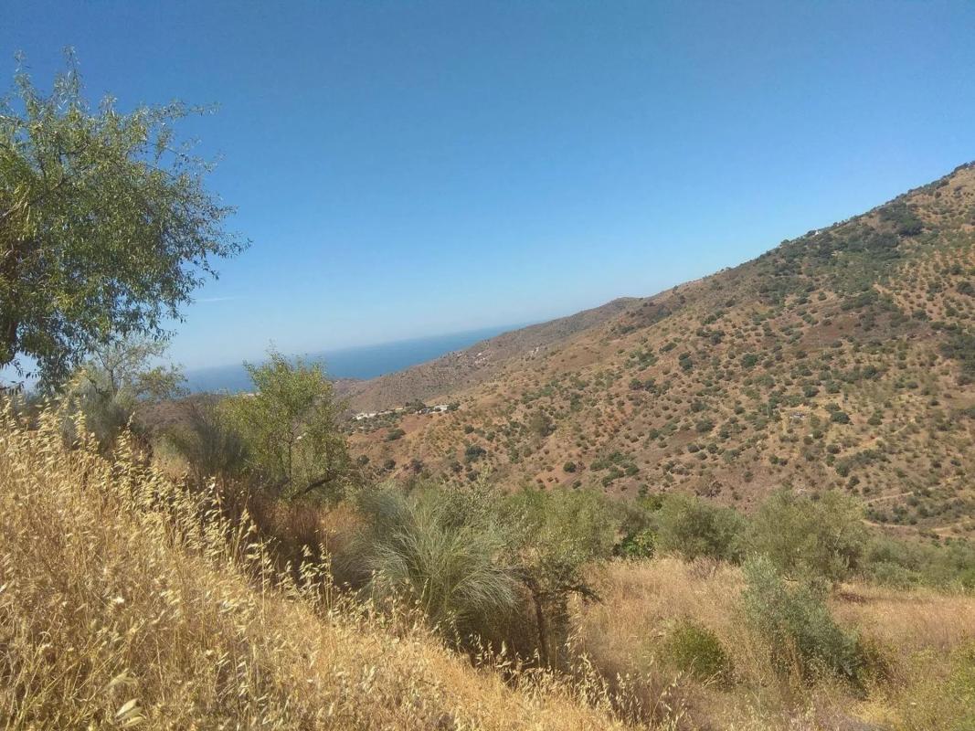 Terreno en venta en Totalan, Malaga photo 3