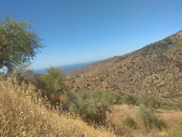 Terreno en Totalan photo 3