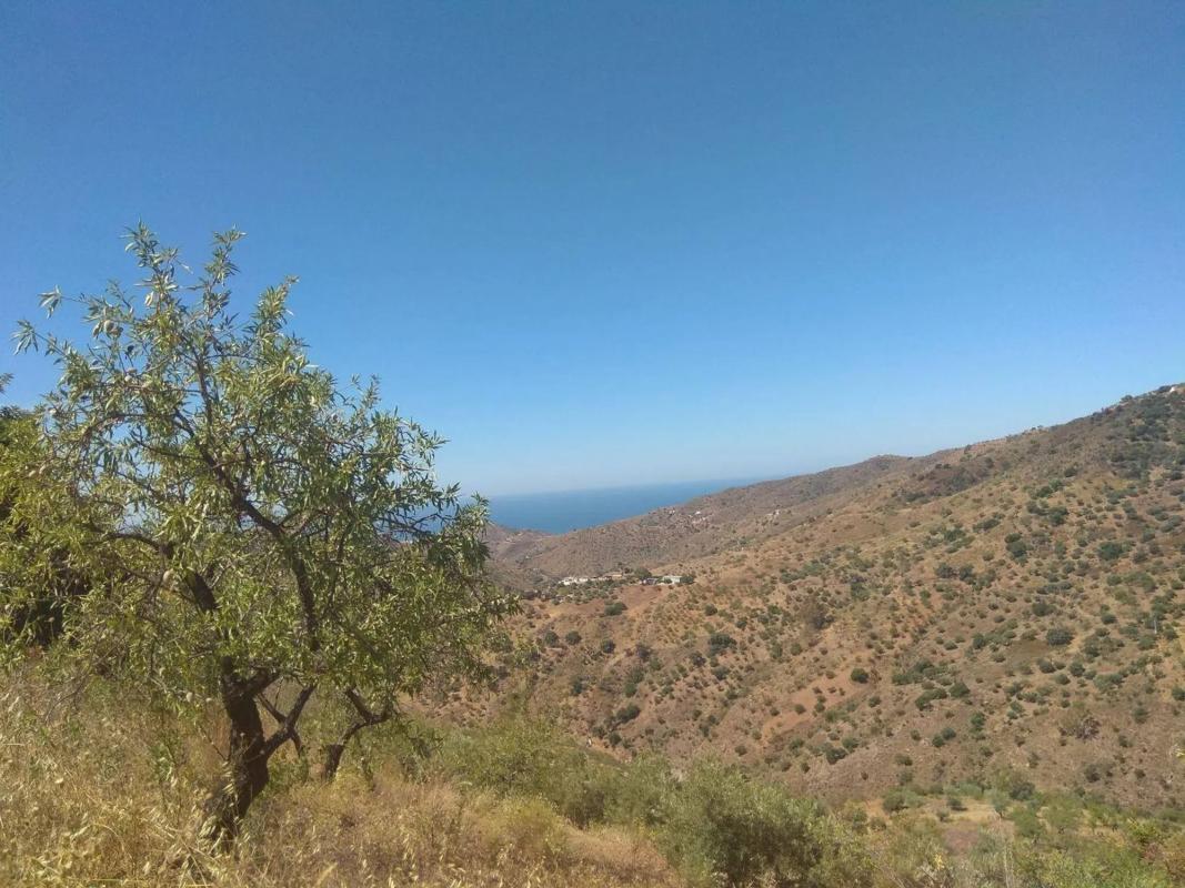 Terreno en venta en Totalan, Malaga photo 4