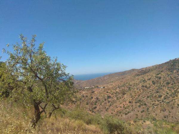 Terreno en Totalan photo 4