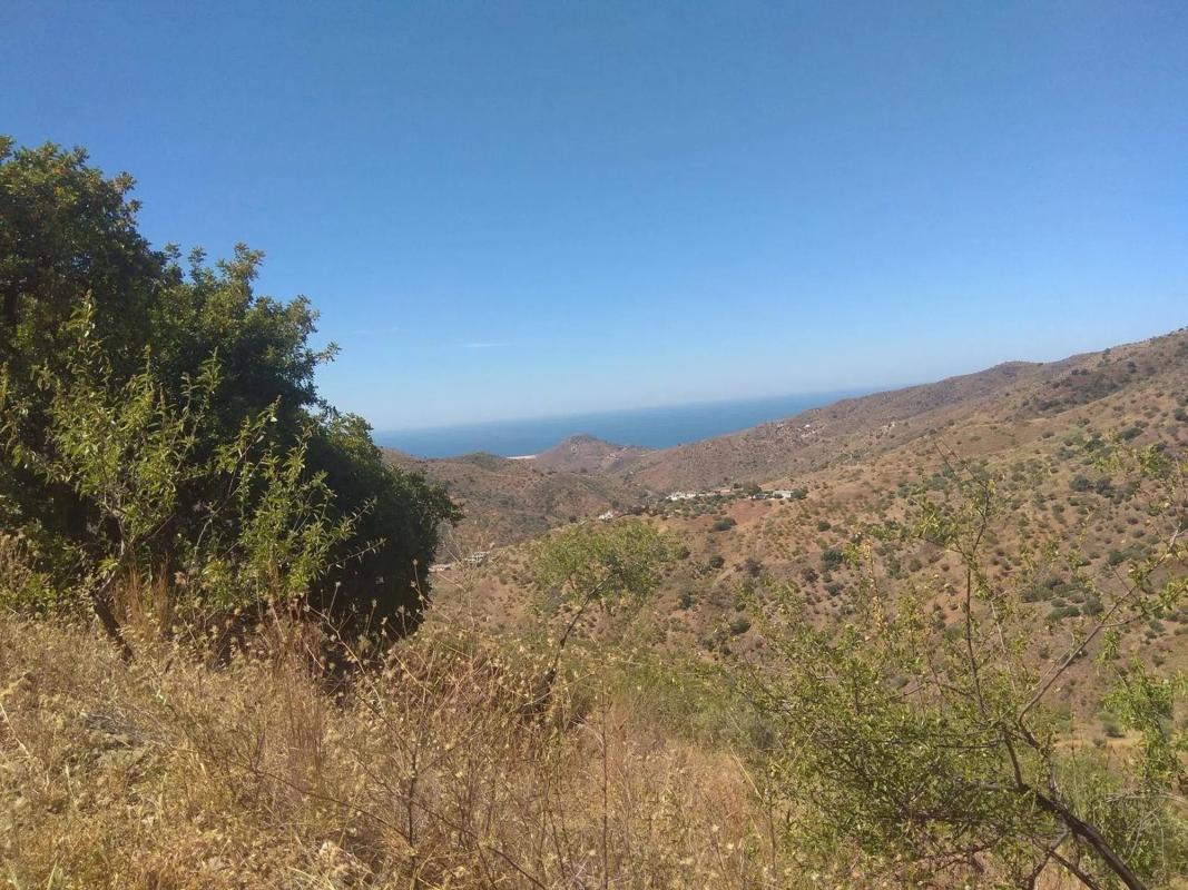 Terreno en venta en Totalan, Malaga photo 5