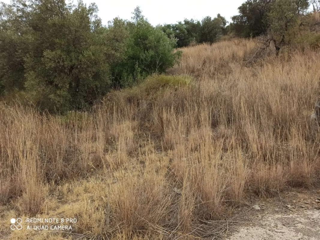 Terreno en venta en Totalan, Malaga photo 1