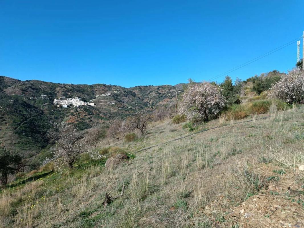 Terreno en venta en Totalan, Malaga photo 2