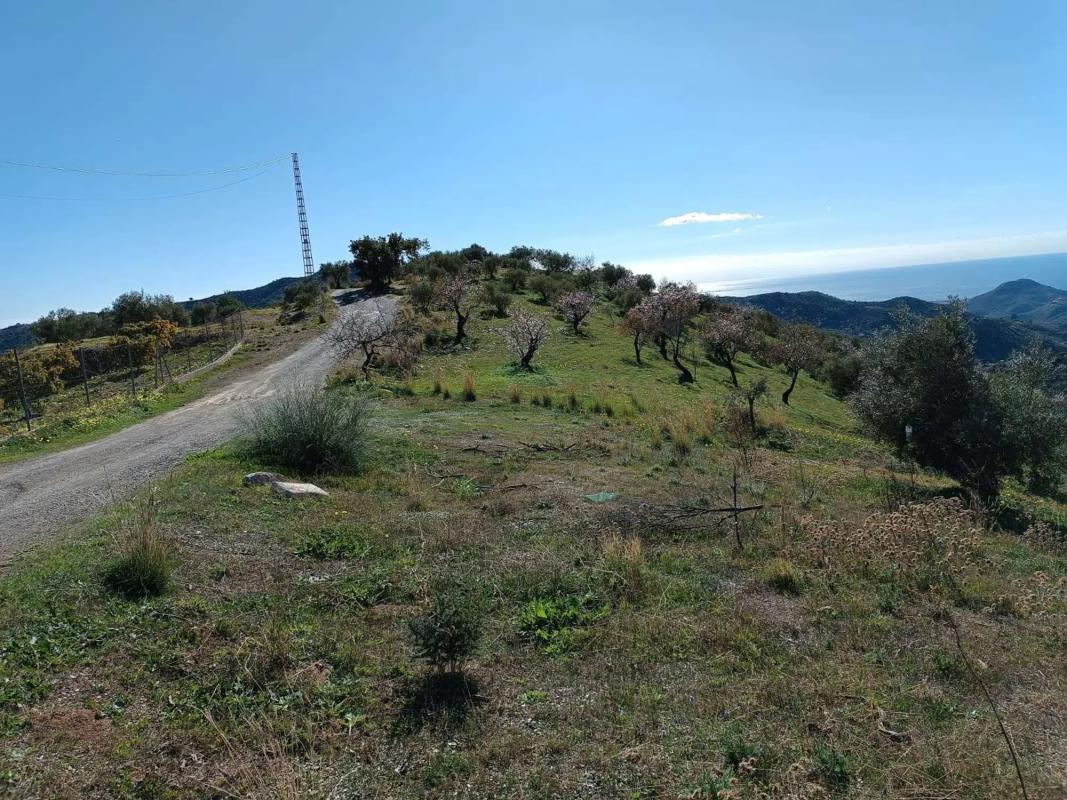 Terreno en venta en Totalan, Malaga photo 3