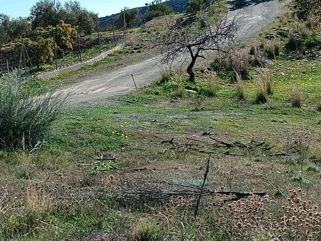 Terreno en venta en Totalan, Malaga photo 4