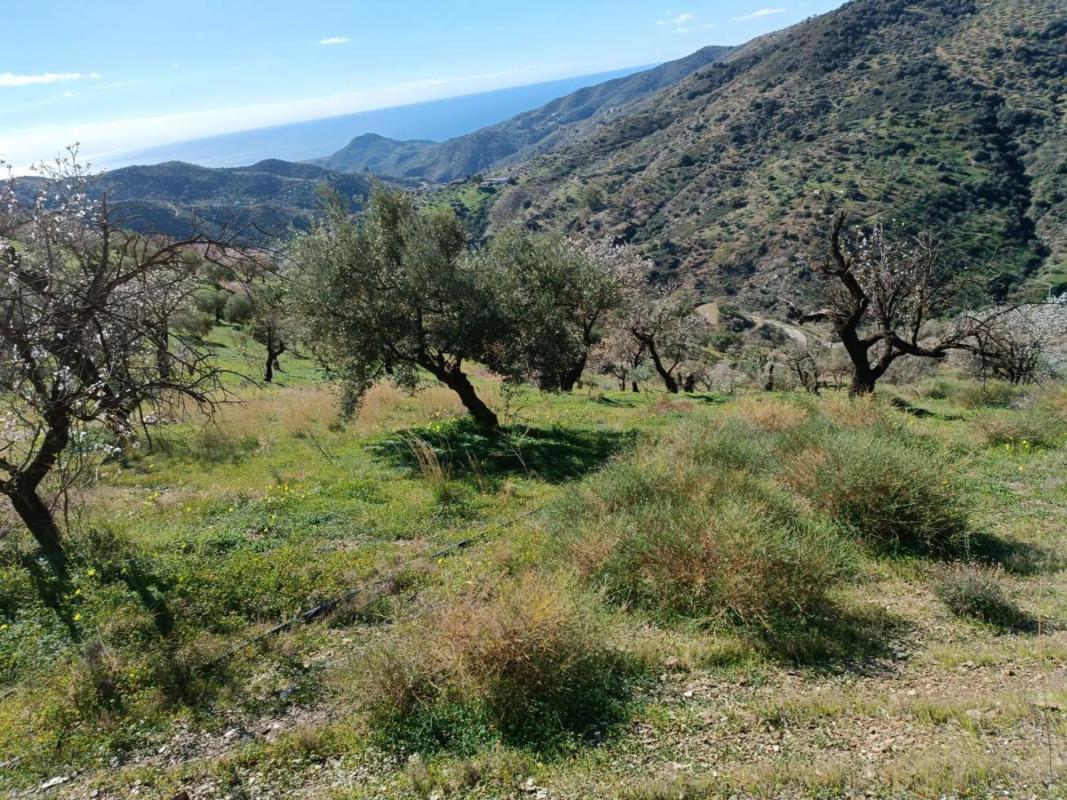 Terreno en venta en Totalan, Malaga photo 5