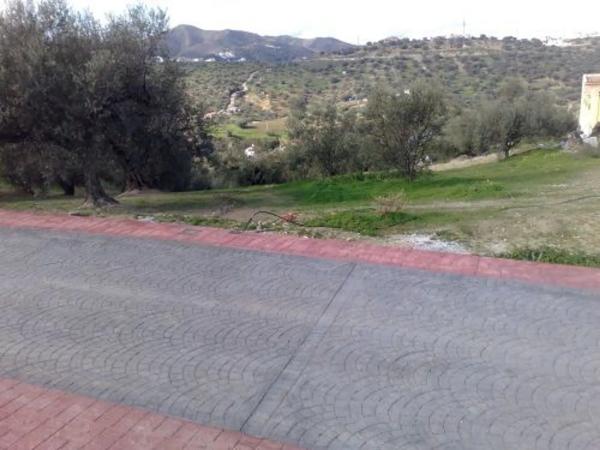 Terreno en centro s/n photo 1