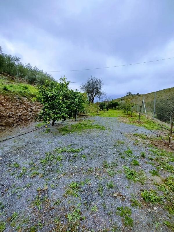 Terreno en venta en Viñuela, Malaga photo 5