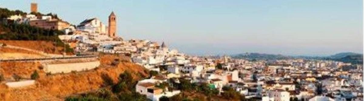 Land for sale in Viñuela, Malaga photo 4