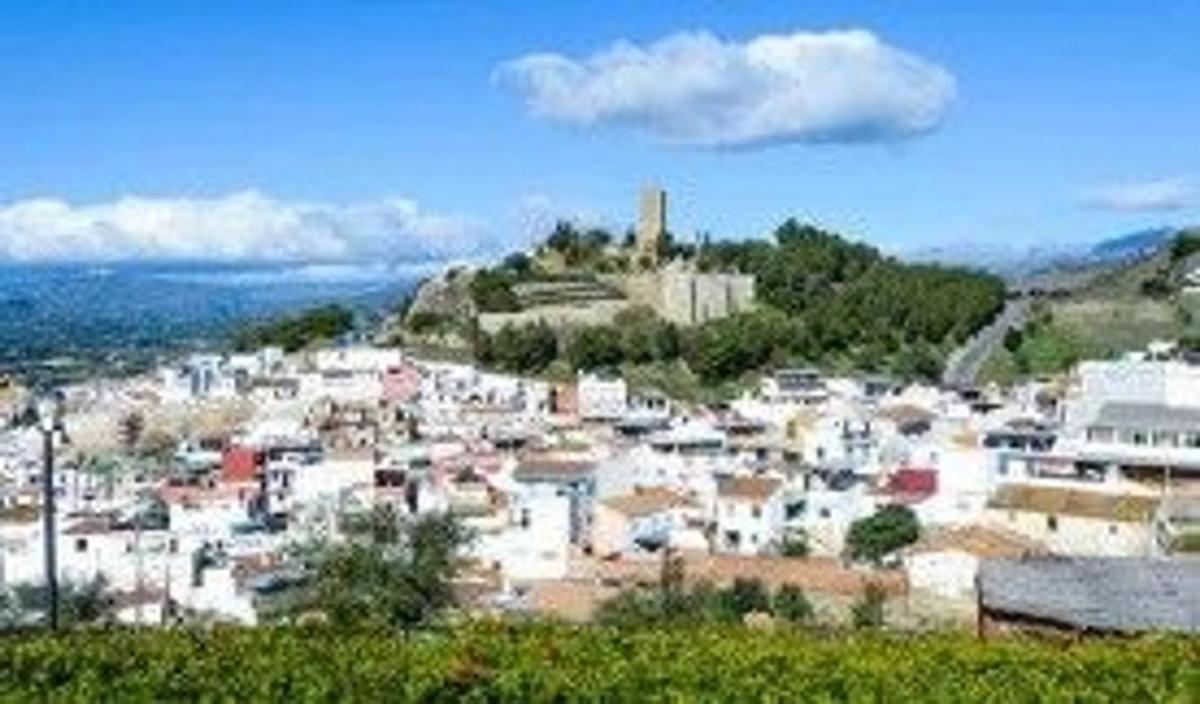 Land for sale in Viñuela, Malaga photo 5