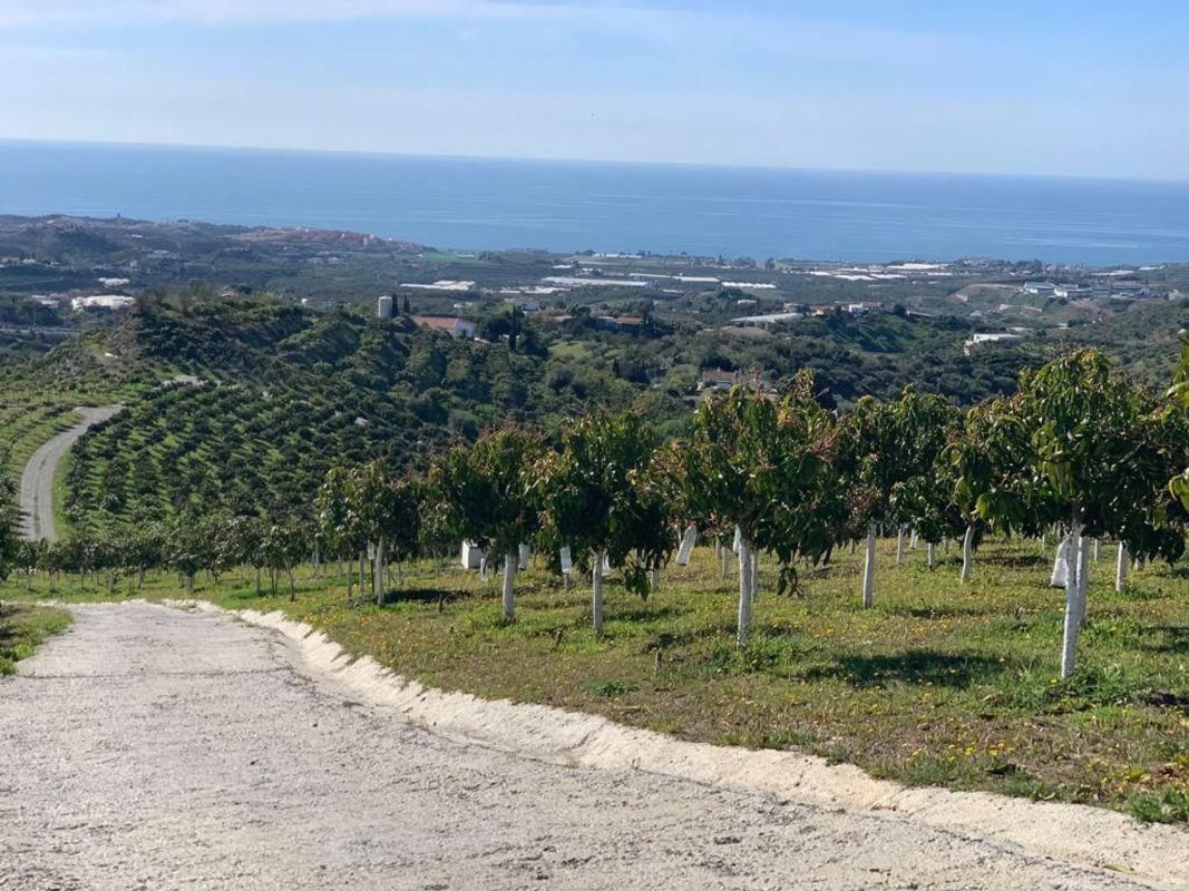 Terreno en venta en Vélez-Malaga, Malaga photo 4