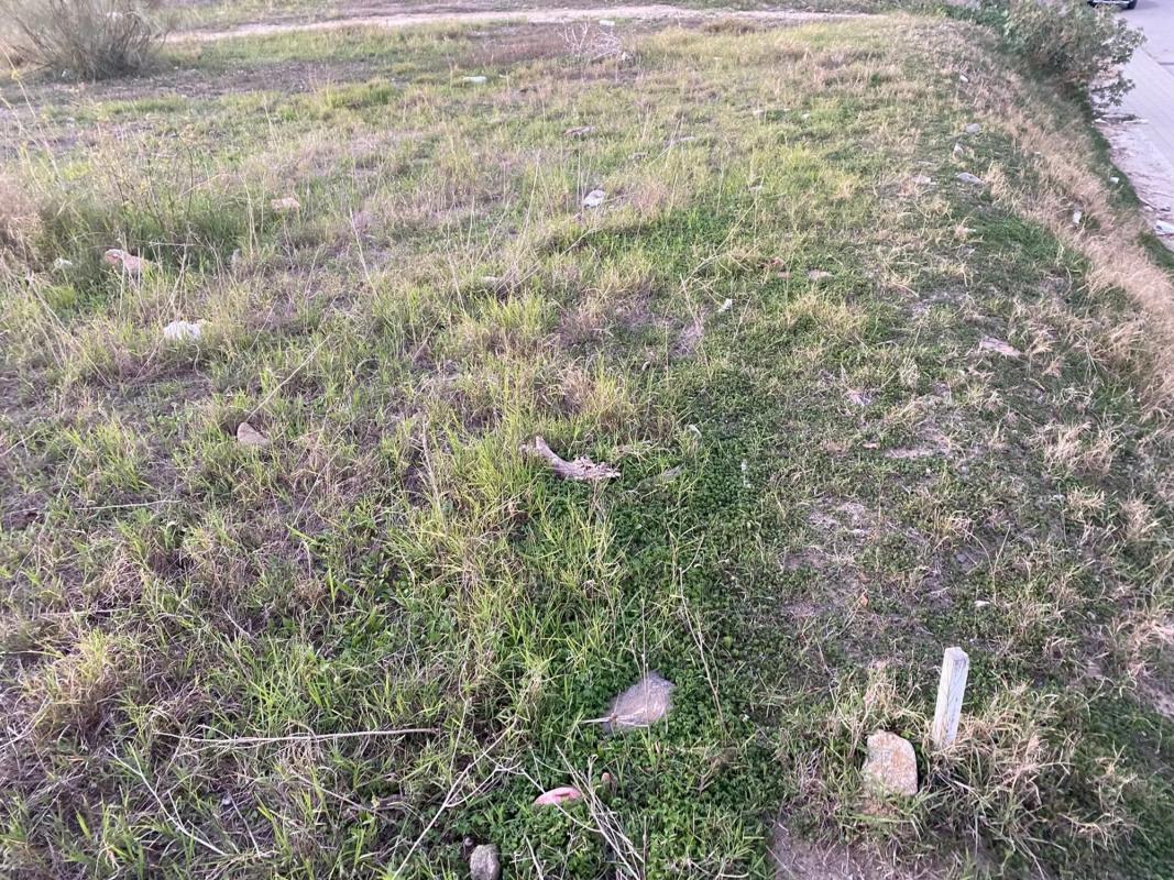 Terreno en venta en Vélez-Malaga, Malaga photo 4