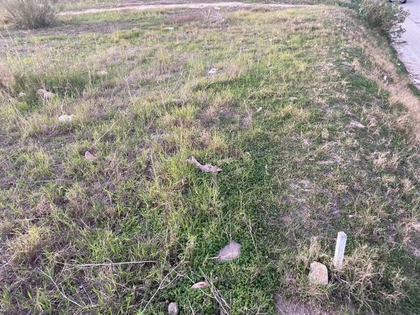 Terreno en calle Benavente s/n photo 4