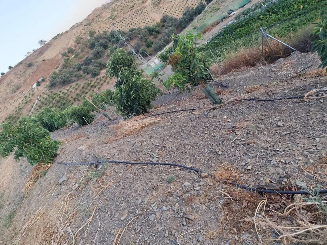 Terreno en venta en Vélez-Malaga, Malaga photo 3