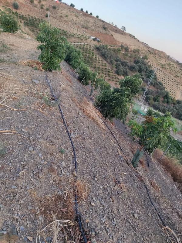 Terreno en venta en Vélez-Malaga, Malaga photo 5