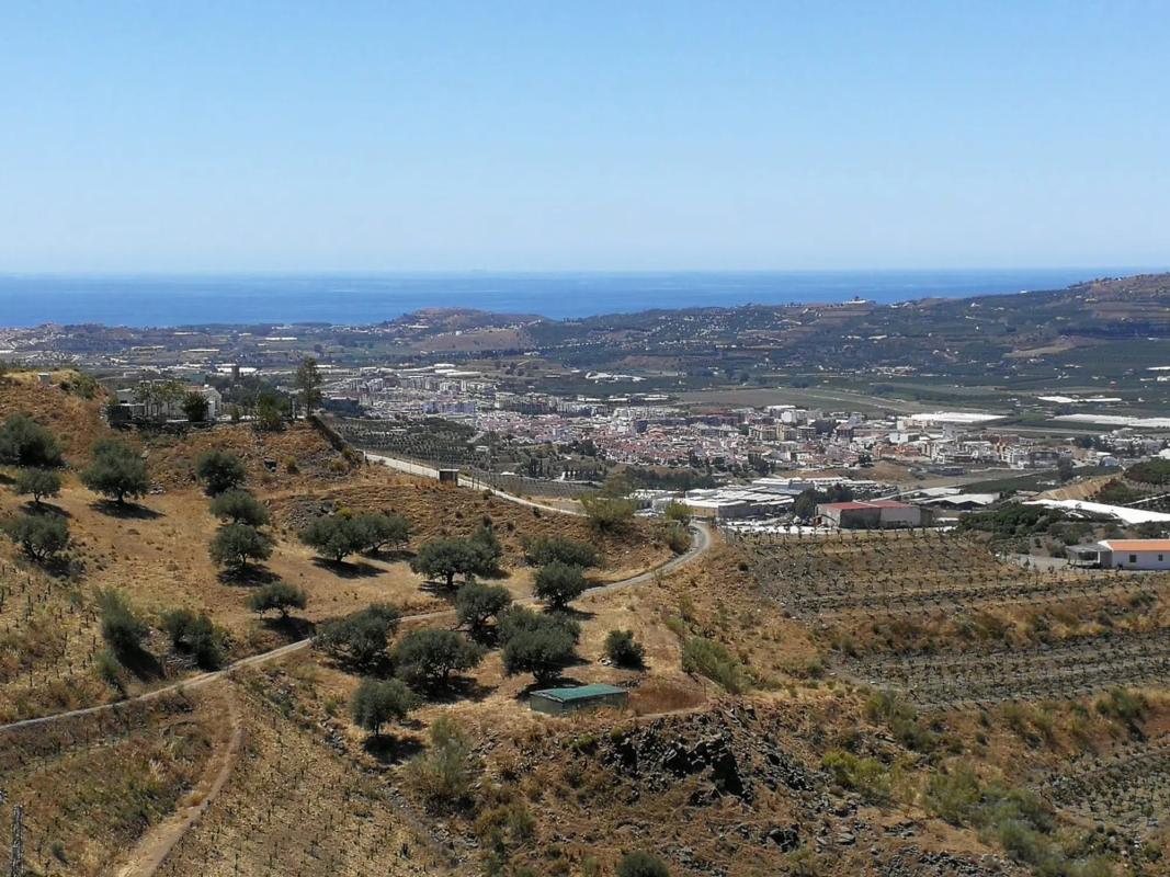 Land for sale in Vélez-Málaga, Malaga photo 2
