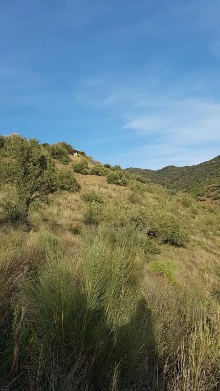 Land for sale in Vélez-Málaga, Malaga photo 4