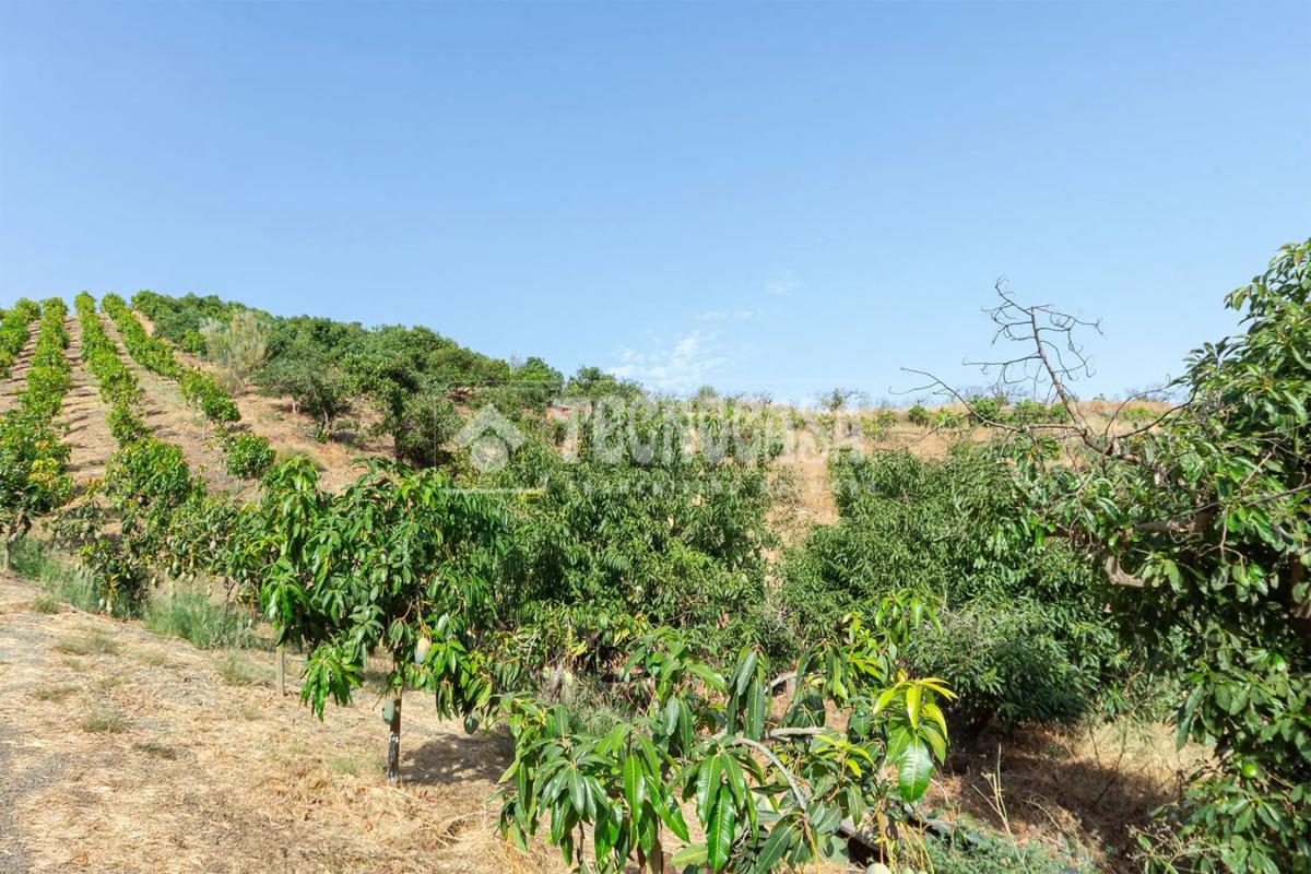Działka na sprzedaż w Vélez-Málaga, Malaga photo 2