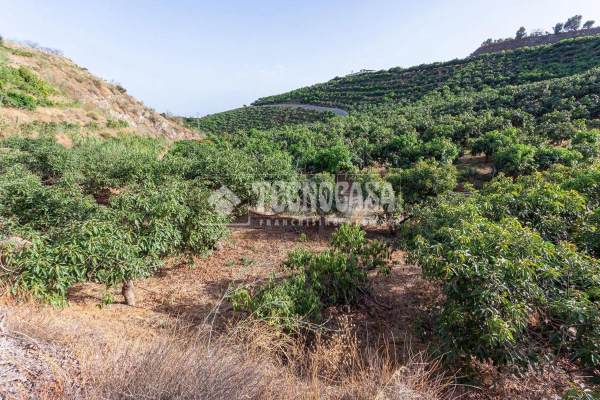 Działka na sprzedaż w Vélez-Málaga, Malaga photo 3