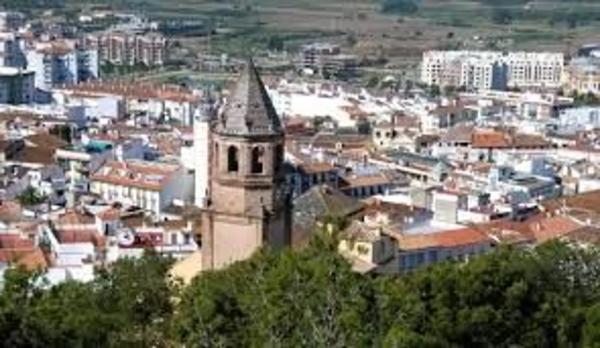 Terreno en camino Viejo de Malaga photo 4