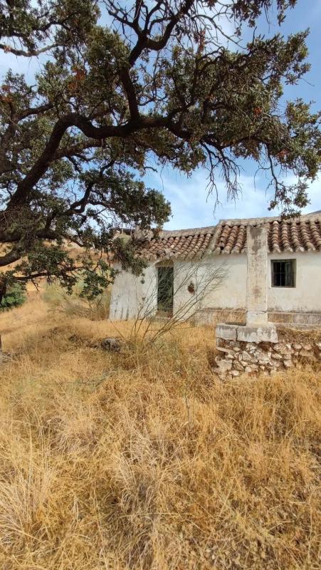 Terreno en venta en Mijas, Malaga photo 4