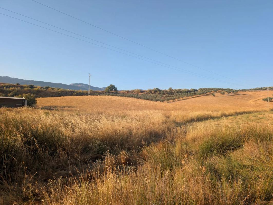 Land for sale in Colmenar, Malaga photo 1