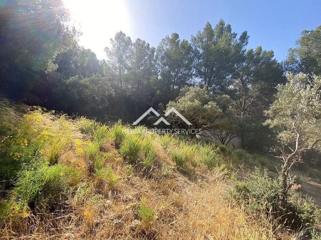 Terreno en venta en Frigiliana, Malaga photo 4