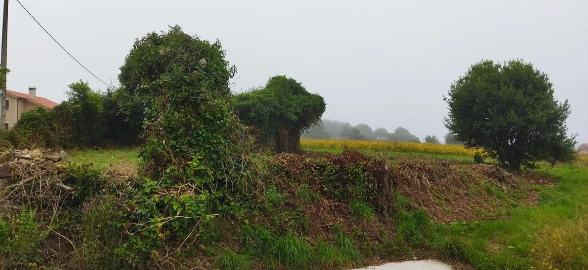 Land for sale in Laracha, A Coruña photo 5