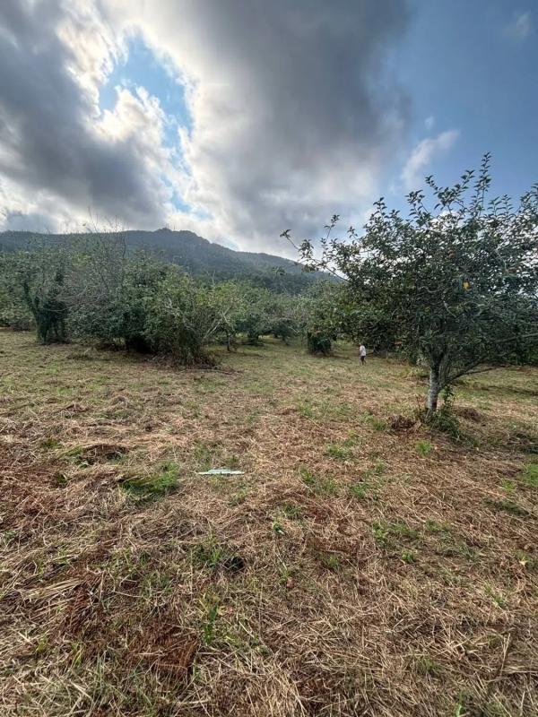 Terreno en venta en Cariño, A Coruña photo 3