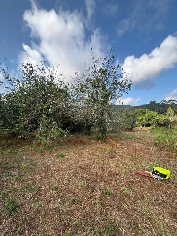 Terreno en venta en Cariño, A Coruña photo 4