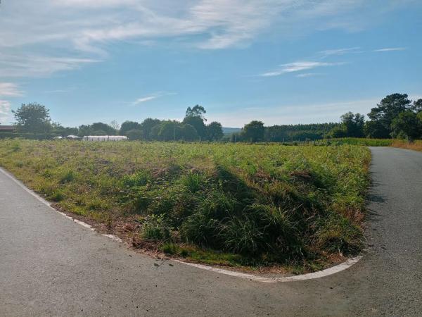 Terreno en Recegulfe s/n photo 1