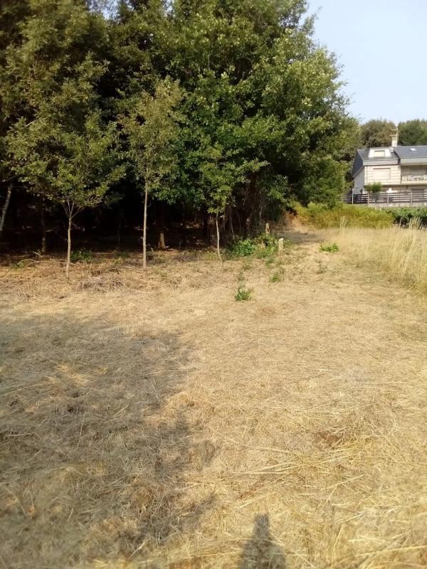 Terreno en venta en A Bola, Ourense photo 2
