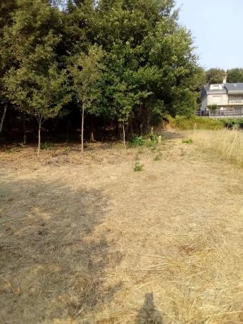 Terreno en Sorga, 1 thumbnail 1