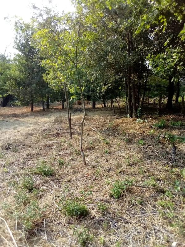 Terreno en venta en A Bola, Ourense photo 3